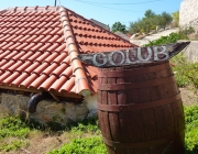 p1020890